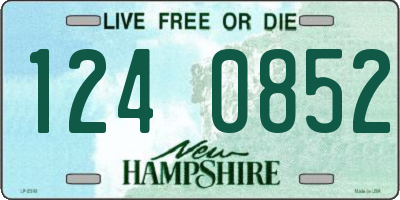 NH license plate 1240852