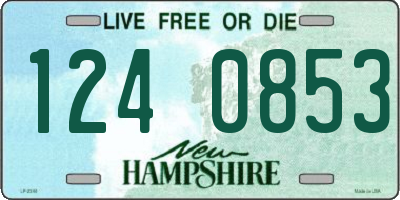 NH license plate 1240853