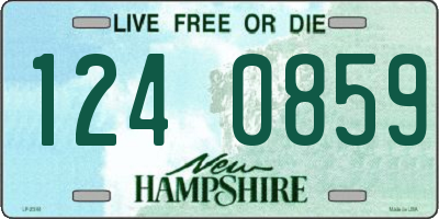 NH license plate 1240859