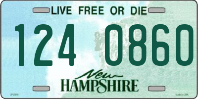 NH license plate 1240860