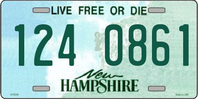 NH license plate 1240861