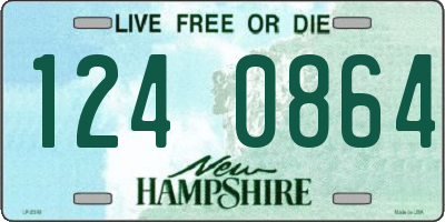 NH license plate 1240864