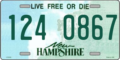 NH license plate 1240867