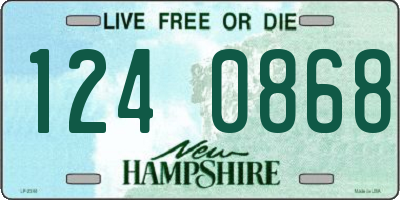 NH license plate 1240868