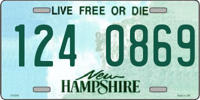 NH license plate 1240869