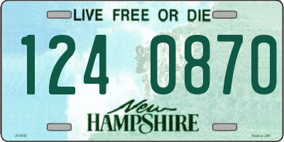 NH license plate 1240870