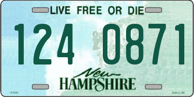 NH license plate 1240871
