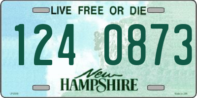 NH license plate 1240873
