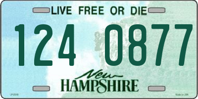 NH license plate 1240877