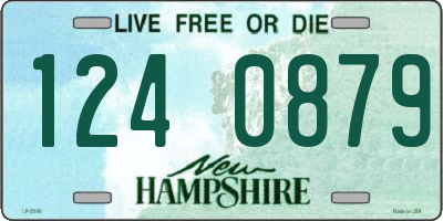 NH license plate 1240879
