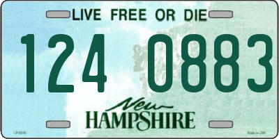 NH license plate 1240883