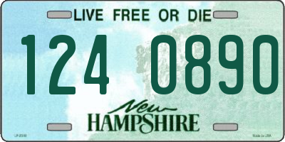 NH license plate 1240890
