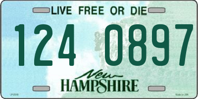 NH license plate 1240897