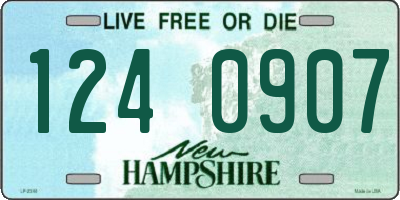NH license plate 1240907