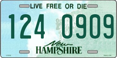 NH license plate 1240909