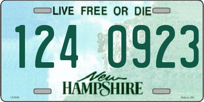 NH license plate 1240923