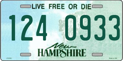 NH license plate 1240933