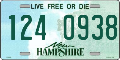 NH license plate 1240938