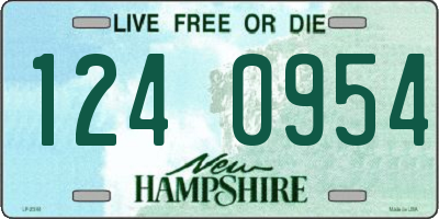 NH license plate 1240954