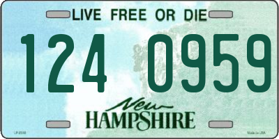 NH license plate 1240959