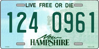 NH license plate 1240961