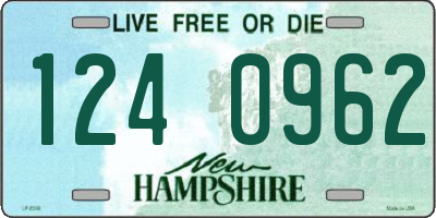NH license plate 1240962