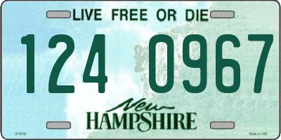 NH license plate 1240967