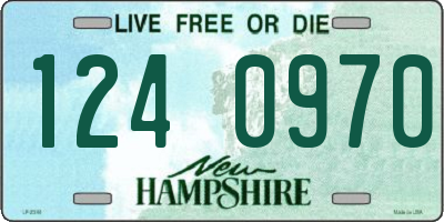 NH license plate 1240970