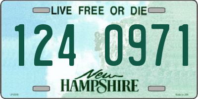 NH license plate 1240971