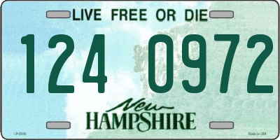 NH license plate 1240972