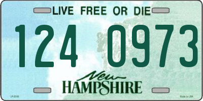 NH license plate 1240973