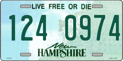 NH license plate 1240974