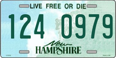 NH license plate 1240979