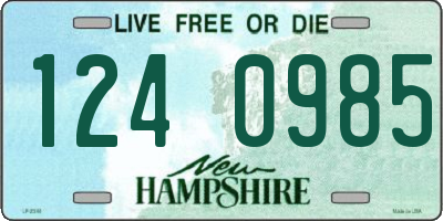 NH license plate 1240985