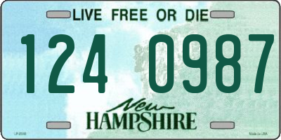 NH license plate 1240987