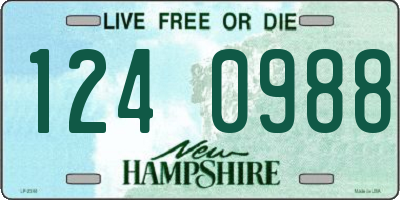 NH license plate 1240988
