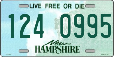 NH license plate 1240995