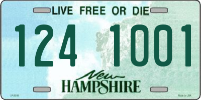 NH license plate 1241001