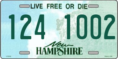 NH license plate 1241002