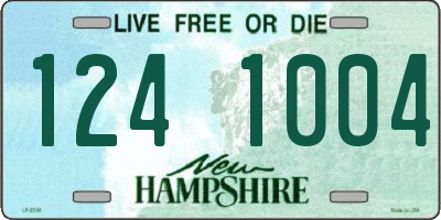 NH license plate 1241004