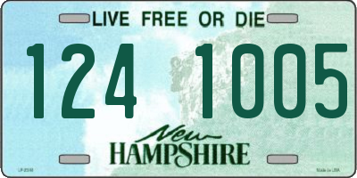 NH license plate 1241005