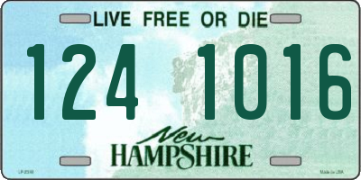 NH license plate 1241016
