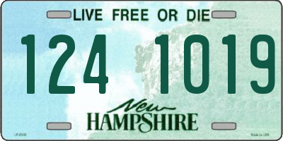 NH license plate 1241019
