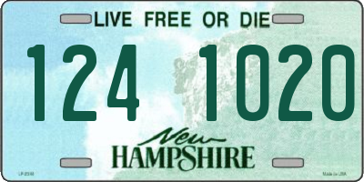 NH license plate 1241020