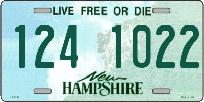 NH license plate 1241022