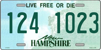 NH license plate 1241023