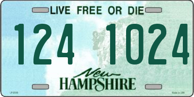 NH license plate 1241024