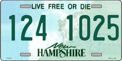 NH license plate 1241025