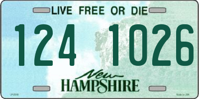 NH license plate 1241026