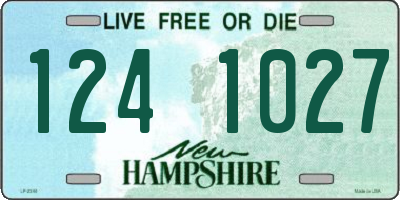 NH license plate 1241027